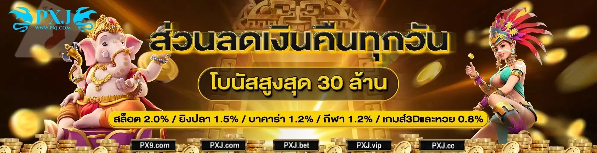 ทางเข้า pxj